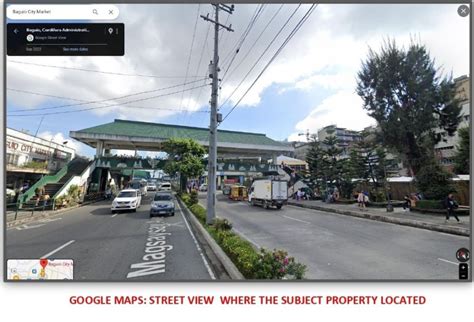 Evexia Veterinary Clinic, 422 Magsaysay Avenue, Baguio City .